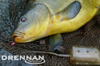 Drennan Bolt Rig Feeders