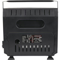 Dynasty Gas Heater With ODS System