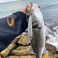 Savage Gear Gravity Shallow Lures