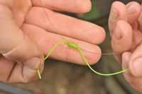 Korda Marker Elastic