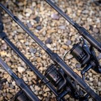 Daiwa Black Widow Ext Carp Rods