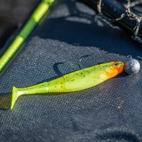 Daiwa Prorex Classic Shad DF Perch Kit