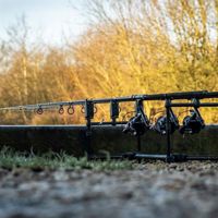 Daiwa Black Widow Ext Carp Rods