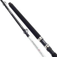 Daiwa Seahunter Z Boat Rod 20-30lb