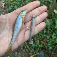 Keitech Easy Shiner Lures