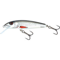 Salmo Minnow Crankbaits