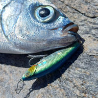 Savage Gear Gravity Pencil Lures