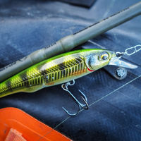 Savage Gear Gravity Twitch SR Lures