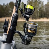 Shimano Sahara FJ Reels