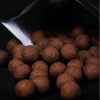 Mainline The Link Shelf Life Boilies