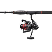 Penn Fierce IV Spin Combo 8ft 15-40g