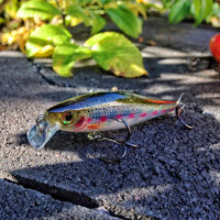 Rapala BX Minnow Lures 7cm/7g