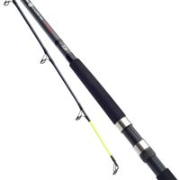 Daiwa D Wave Boat Rod 20-30lb