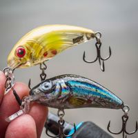 Salmo Rattlin Hornet Shallow Floating 4.5cm