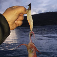 Savage Gear Powerglow EGI Lures 10cm/17.2g