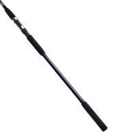 Daiwa D Wave Sea Bass Rod 11ft