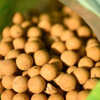 CC Moore Live System Frozen Boilies 10mm 1kg