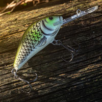 Salmo Hornet Crankbaits