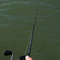 Fox Rage Terminator Versatile Casting Rods