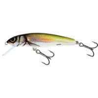 Salmo Minnow Crankbaits