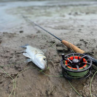 Wychwood RS2 Fly Reels