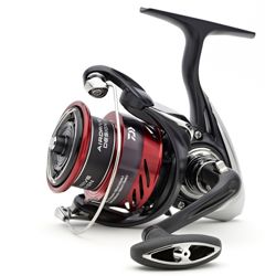 Daiwa 23 Ninja LT Reels