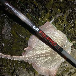 Anyfish Anywhere Tournament GBFS Pro MK2 Rod 14ft