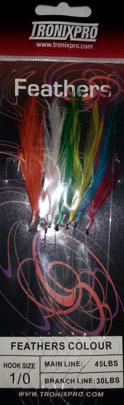 Axia Feathers Colours