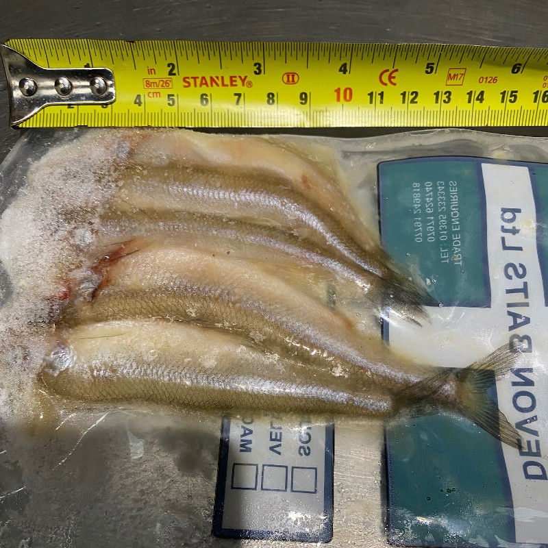 Devon Baits Frozen Smelt Small