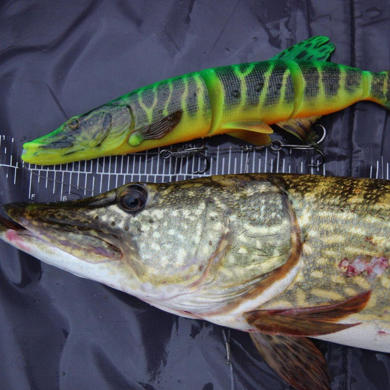 Savage Gear 4D Line Thru Pike 25cm