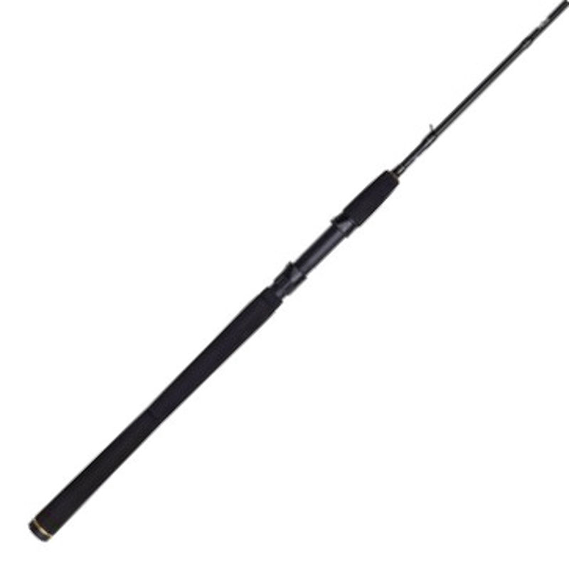 Penn Wrath II Spinning Combo 8ft