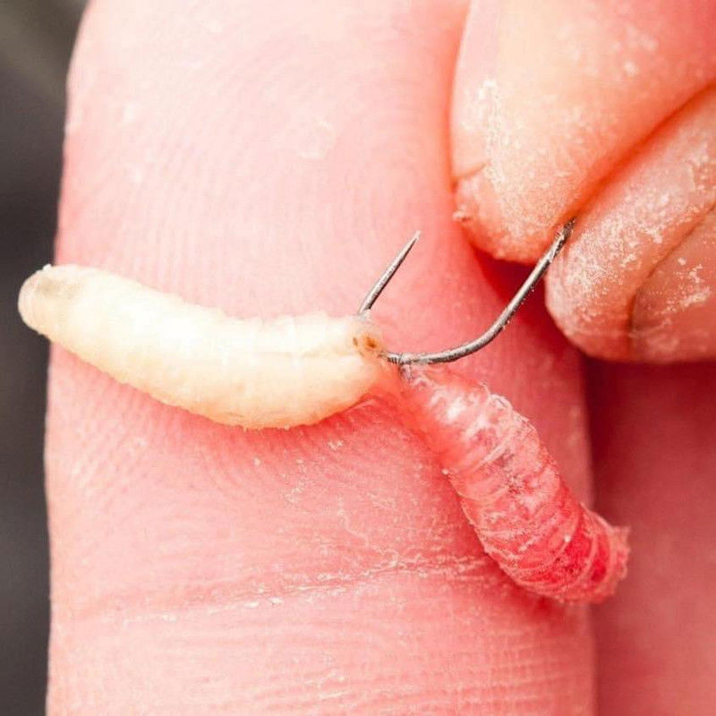 Guru F1 Maggot Barbless Hooks To Nylon