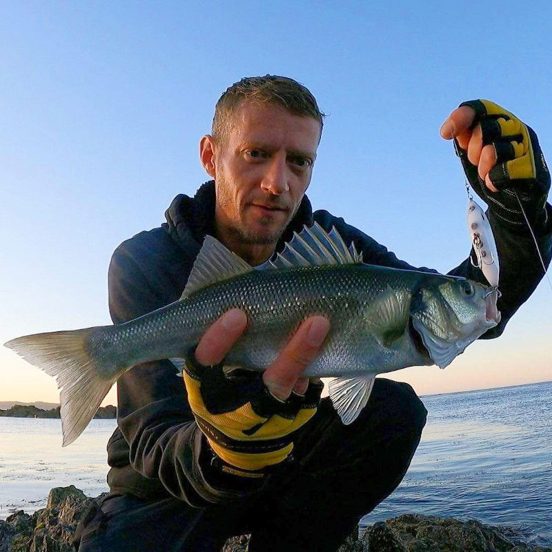 Samson Shad Lure 7.5cm