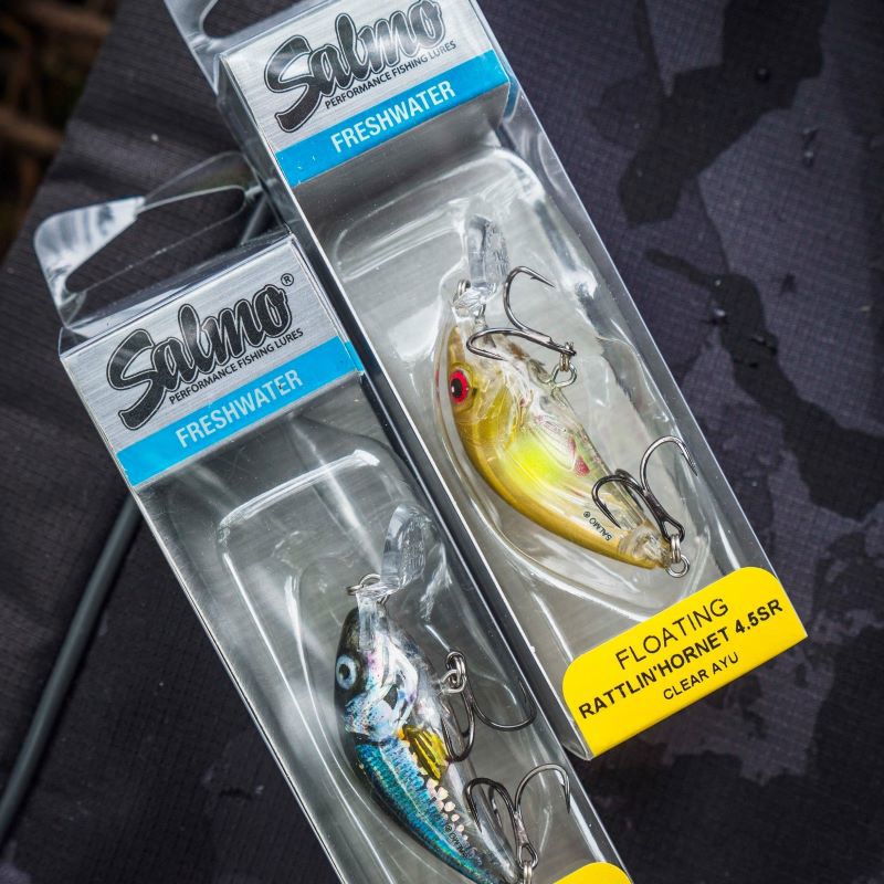 Salmo Rattlin Hornet Shallow Floating 4.5cm