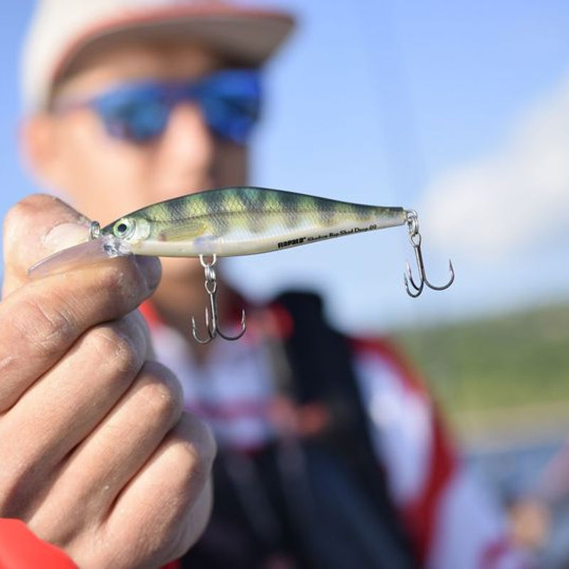 Rapala Shadow Rap Deep 11cm/13g