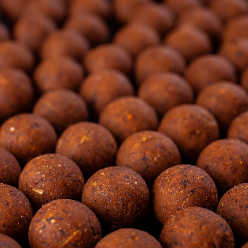 DNA Baits Secret 7 Shelf Life Boilies