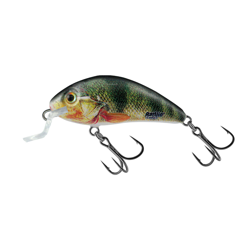 Salmo Rattlin Hornet Shallow Floating 4.5cm